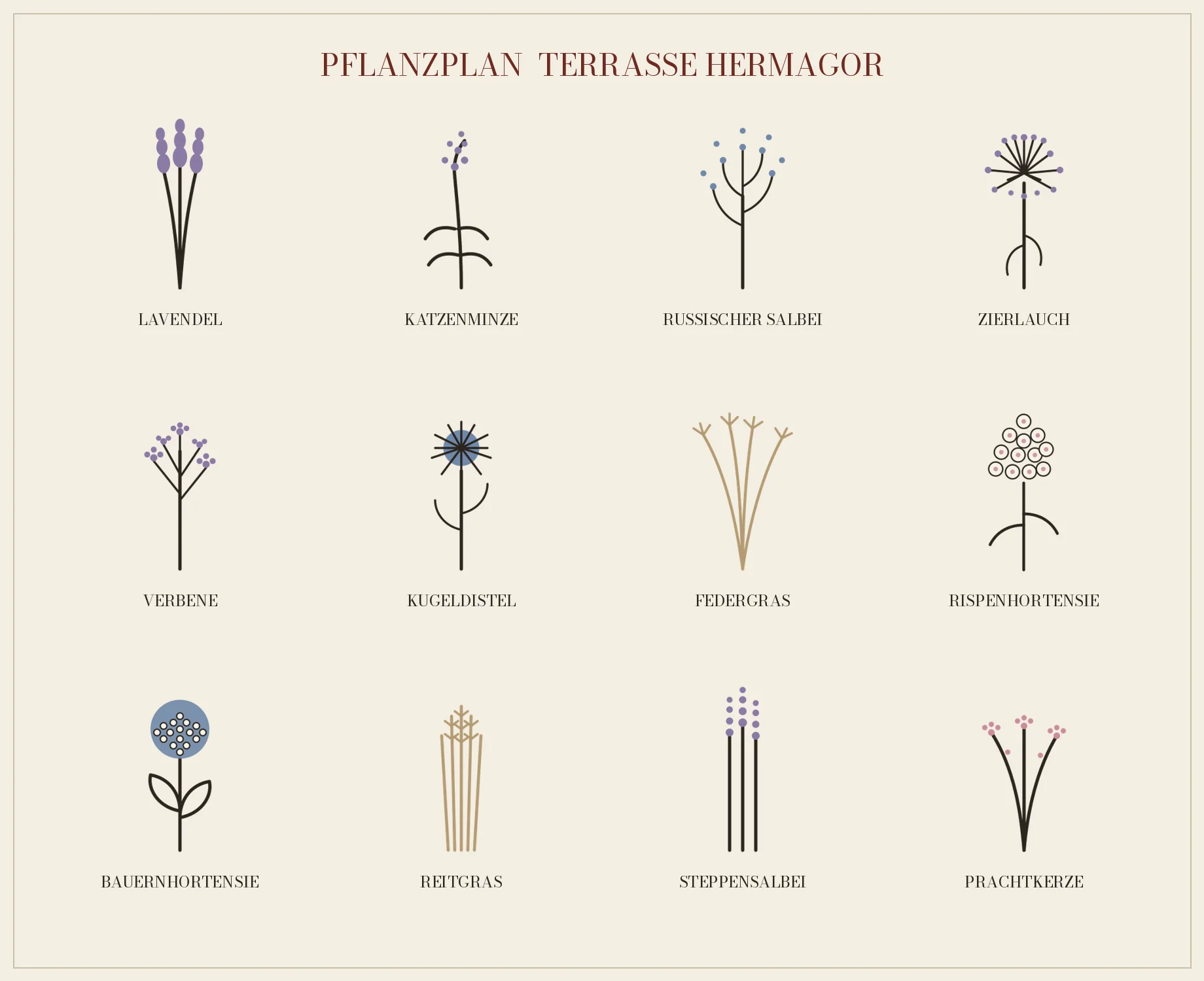 Plant palette of the terrace planting plan, twelve plants